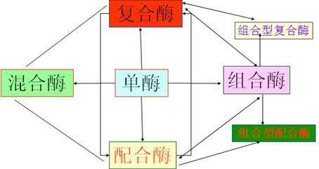 飼用酶制劑的產(chǎn)品現(xiàn)狀與技術(shù)開發(fā)路線升級——基于馮定遠(yuǎn)教授BFC會議報告