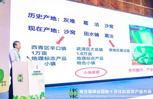 小種子撬動大產(chǎn)業(yè) 第五屆邢臺國際十字花科蔬菜產(chǎn)業(yè)大會盛大啟帷，展現(xiàn)科技興農(nóng)新圖景