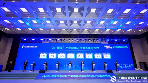 合力打造銀發(fā)科技產(chǎn)業(yè)“上海樣本”——2025上海銀發(fā)科技產(chǎn)業(yè)發(fā)展大會圓滿閉幕